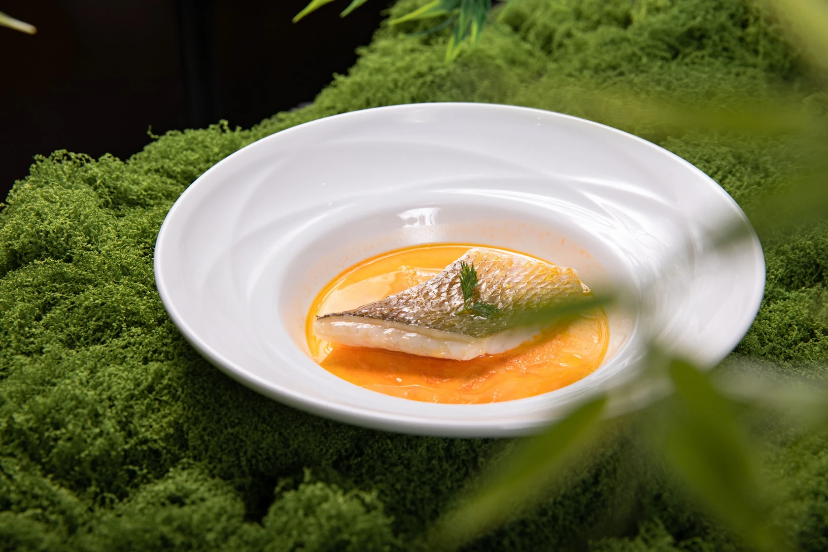 Fish Fillet with Orange Sauce